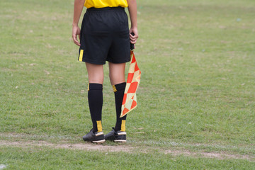 Court side assistant soccer referee holding flag. On a green lawn