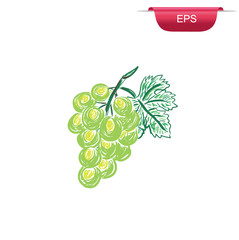 green grapes, design element, sketch, vector illustration