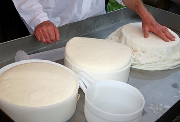 cheesemaker controls the freshly cheese in the dairy