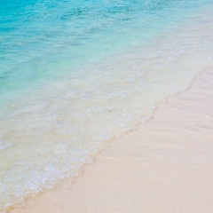 beach and tropical sea