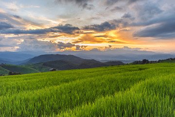 Naklejka premium Green Terraced Rice Field in Pa Pong Pieng , Mae Chaem, Chiang Mai, Thailand