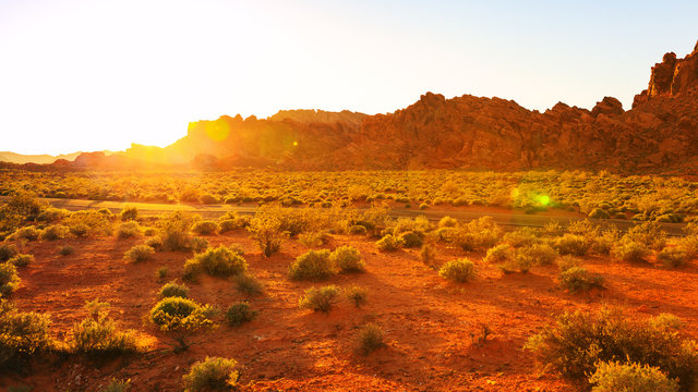 Desert Over Sunset In Valley Of Fire State Park, Southern Nevada, USA