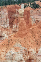 Hoodoo Pinnacle Stone at Bryce Canyon National Park, Utah,  USA