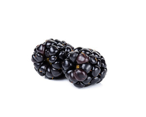 blackberry isolated on white background