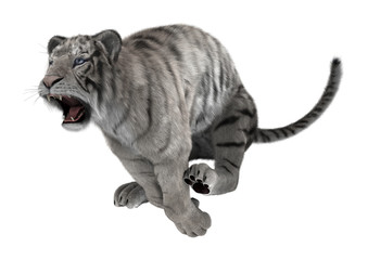 3D Rendering White Tiger on White