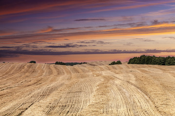 Obraz premium wieczorem po żniwach