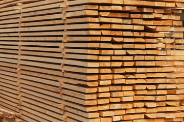 Stacked of wood log for construction buildings background and texture