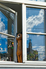 Cat figurine at opened window