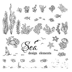 Naklejka premium Vector set of underwater marine design elements.