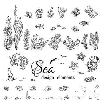 Vector set of underwater marine design elements.