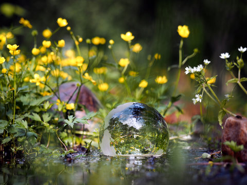 The ball in the water. Green water, forest flowers. Glass - a material, concepts and themes, environment, nature, renewable resources