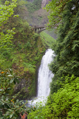 Fototapeta na wymiar Multnomah Falls, Oregon, USA