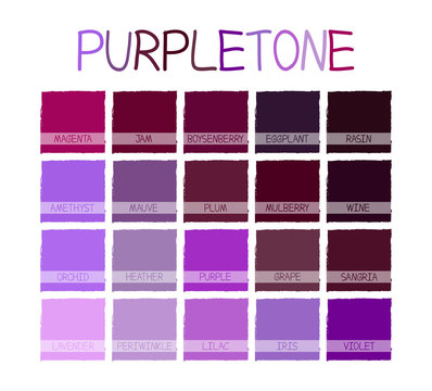 Purpletone Color Tone with Name Vector Illustration