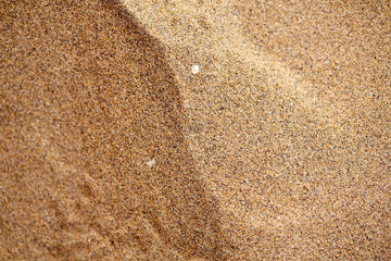 Sand on the beach as a background