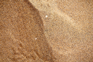 Fototapeta na wymiar Sand on the beach as a background