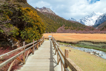 Fototapeta na wymiar wooden bridge along a path in the wilderness