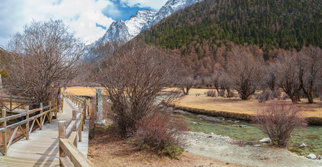 Wooden walkway along scenic mountain lake