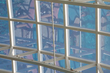 White Metal Grid with Glass Roof
