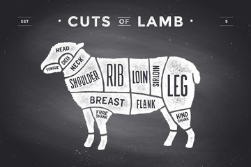 Cut of beef set. Poster Butcher diagram and scheme - Lamb. Vintage typographic hand-drawn on a black chalkboard background. Vector illustration
