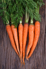 Bunch of fresh carrots with green leaves