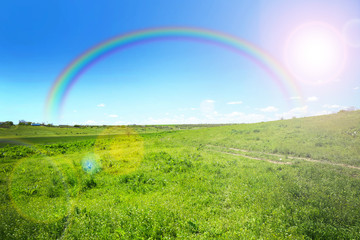Beautiful spring or summer landscape with green grass on meadow after rain with rainbow