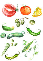 Watercolor set of vegetables on a white background. Vegetables - tomato, cucumber, cucumber slice, slice of tomato, bean, pea pod, pea pod beans, olive branch, a slice of lemon, pea leaves.