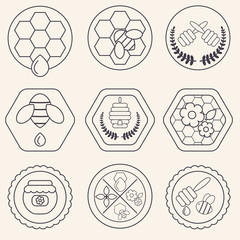 Honey and bees vector badges and labels