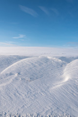 Fototapeta na wymiar Snowy land.