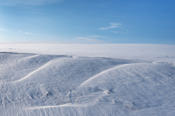 Fototapeta na wymiar Snowy land.