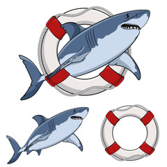 Obraz premium Color image white shark and a life buoy. Vector isolated objects on white.