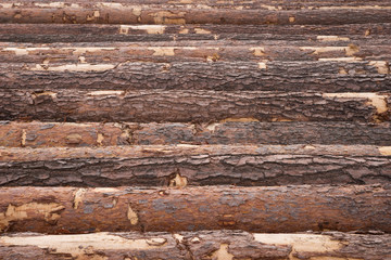 Holzstämme als Hintergrund