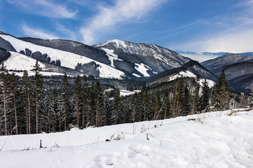 Fototapeta na wymiar winter snow, landscape, mountain scenery