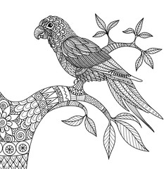 Doodle design of parrot on branch for adult coloring book

