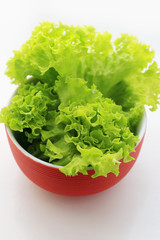 Fresh green lettuce in red bowl