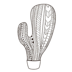 Cactus ethnic, tribal style. Cactus for coloring. Boho mexican print. Trendy high detailed cactus. Vector Illustration