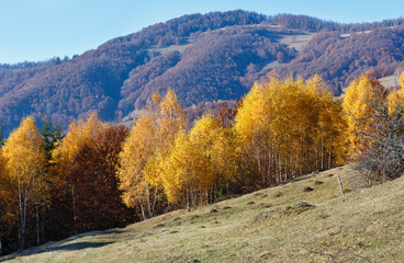 Golden autumn in mountain.