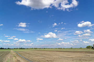 Fototapeta premium Beautiful summer sky