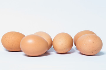 egg