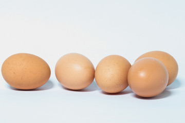 egg