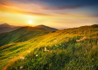 Fototapeta na wymiar Mountain field during sunset. Beautiful natural landscape