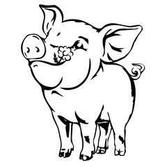 Happy dirty baby pig. Joyful young swine colorless vector sketch isolated on white.