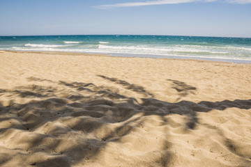Fototapeta na wymiar Blue sky and sea, a yellow sandy beach and a palm tree shadow on the beach