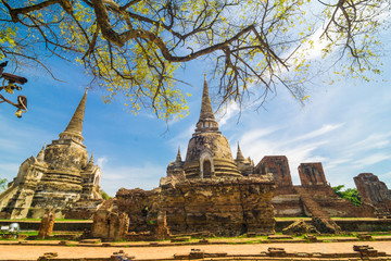 Ayutthaya Historical Park with Tree branch blue sky, Phra Nakhon