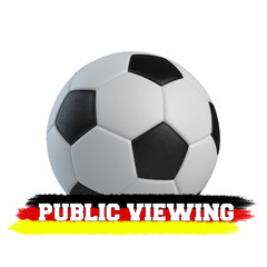 Obraz premium Public Viewing Fussball
