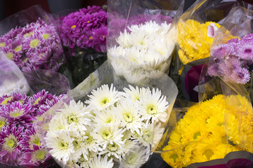 Frische Blumen vor einem Blumenladen