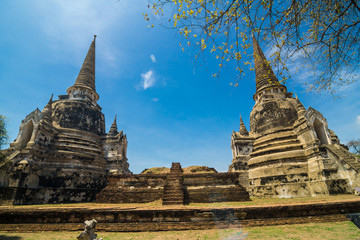 Fototapeta premium Ayutthaya Historical Pagoda Park, Phra Nakhon Si Ayutthaya