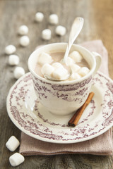 Fototapeta na wymiar Hot cocoa with marshmallow