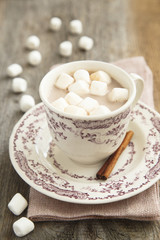 Hot cocoa with marshmallow