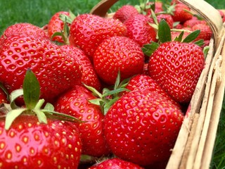 Beautiful red strawberries