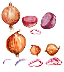 Set bulbs watercolor on white, isolated background. Onions, red onion watercolor.